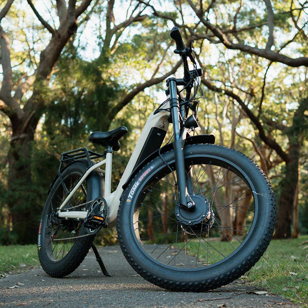 S700 Dual Motor 2KW 17.5Ah