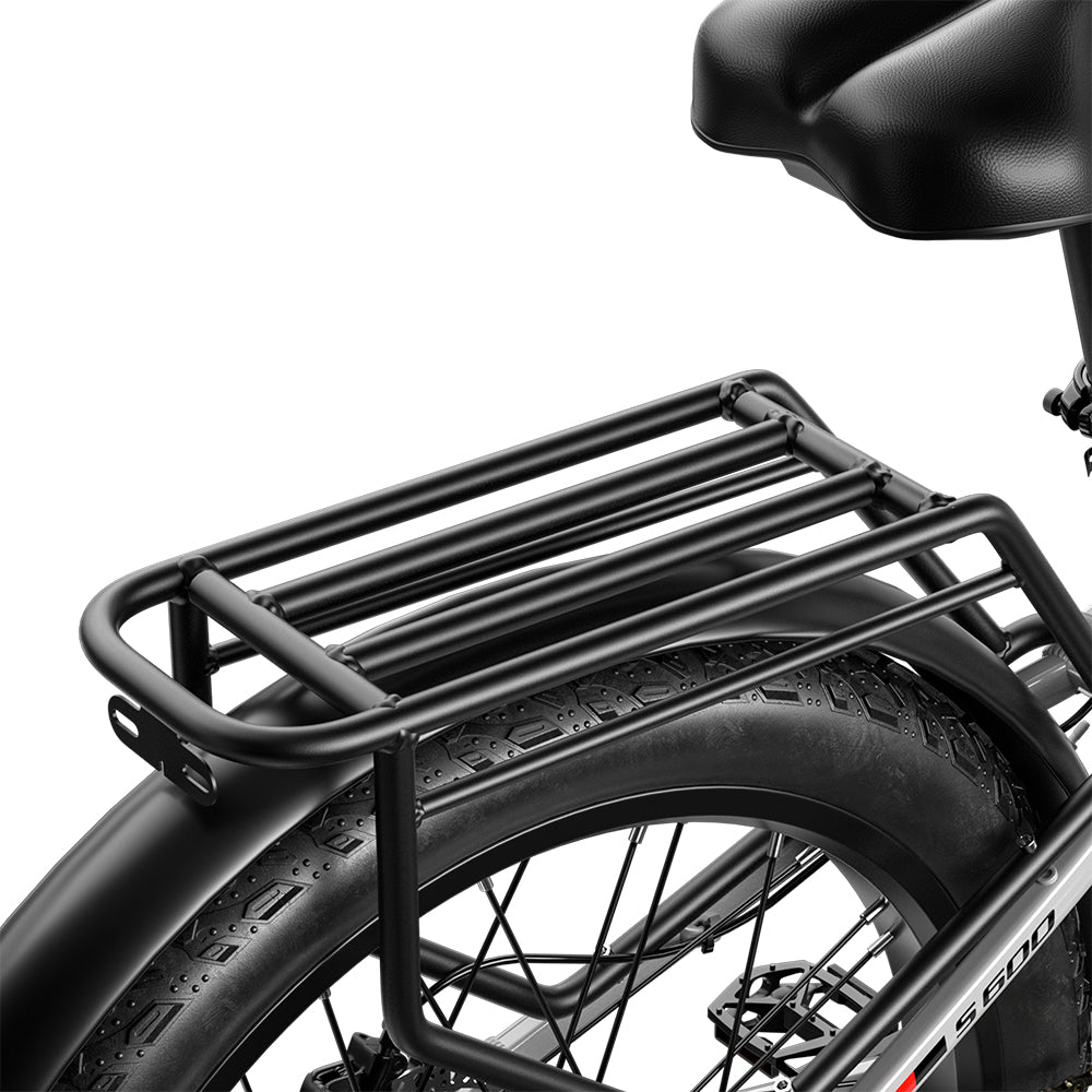 S600 Dual Motor 2KW 17.5Ah