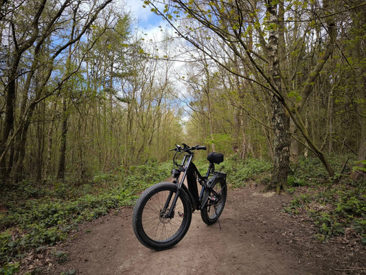Electric Bike for Off Road Riding Guide