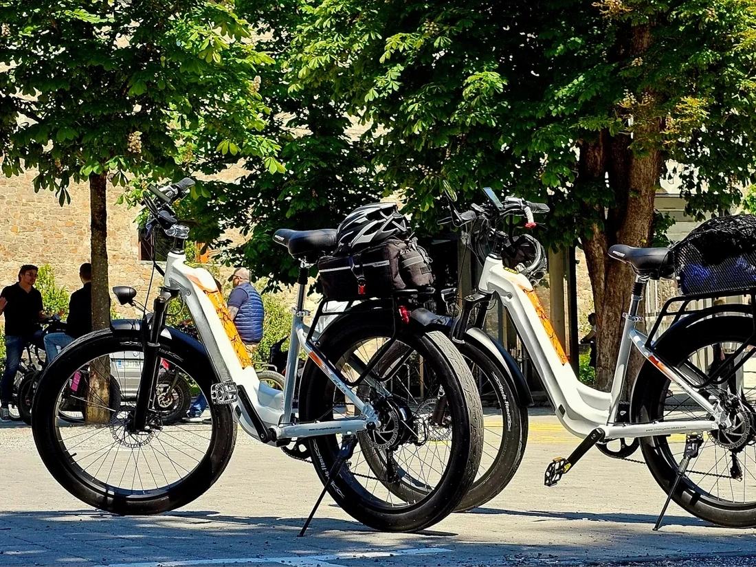 Electric Bikes Australia Buyers Actually Want