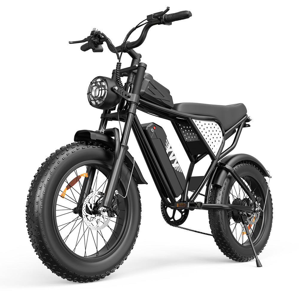 Q20 Lite 1000W 48V 15Ah