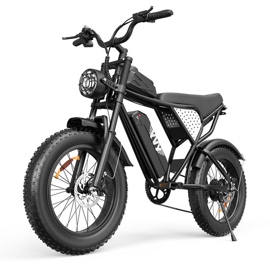 Q20 Lite 1000W 48V 15Ah