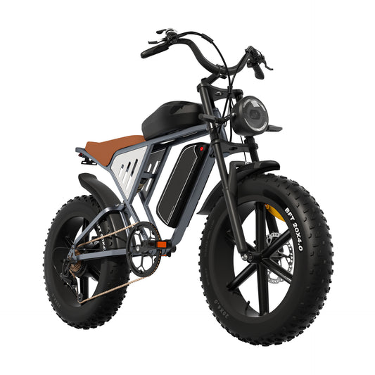 X70 750w 48V34Ah