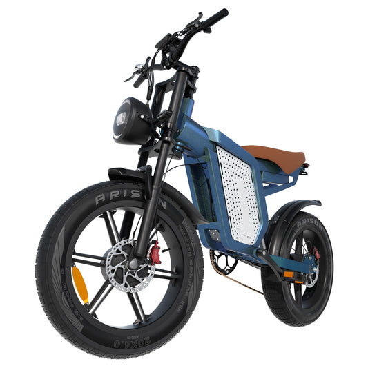 X60 1500w 48V23Ah