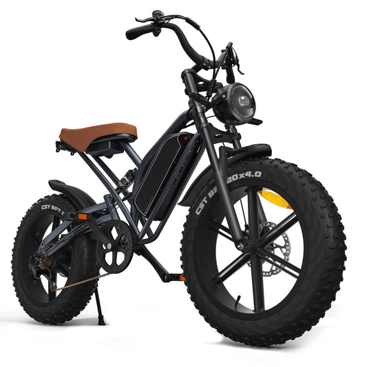 X50 1000w 48V17Ah