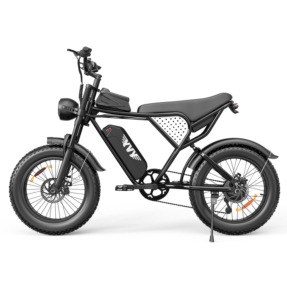 Q20 Lite 1000W 48V 15Ah