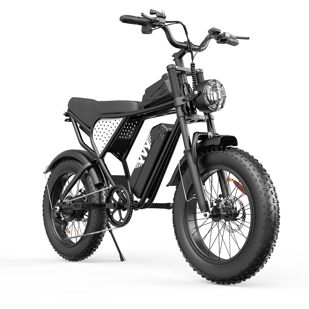 Q20 Lite 1000W 48V 15Ah