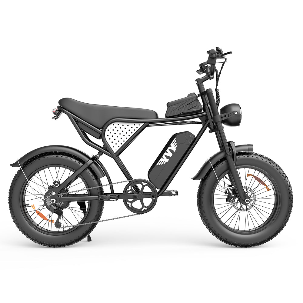 Q20 Lite 1000W 48V 15Ah