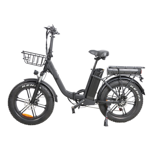 DZ32 Dual Battery 750W 30Ah