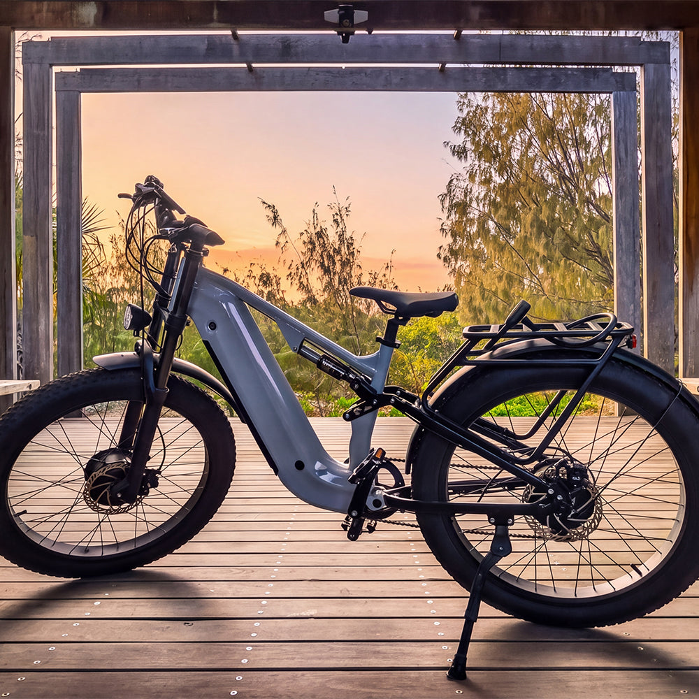 S600 Pro Dual Motor 2KW 25Ah