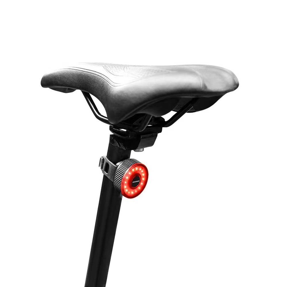 LED Rear Light